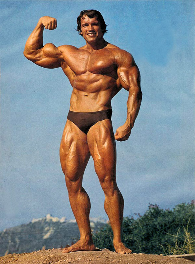 Arnold Schwarzenegger e suas Lições para o Sucesso!
