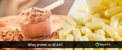 whey protein ou bcaa