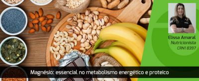 magnesio beneficios metabolismo